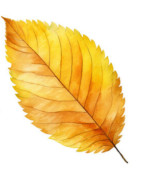 leaf3.png